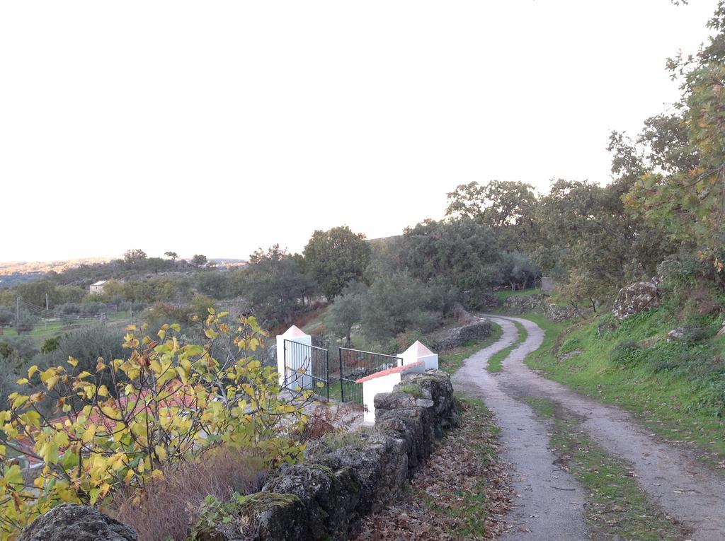 Villa Refugio Da Maceira Marvão Zimmer foto